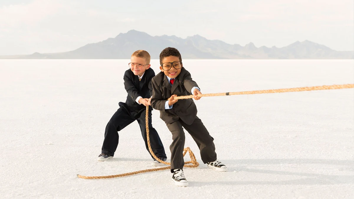 tegenstrijdige belangen Tegenstrijdige belangen