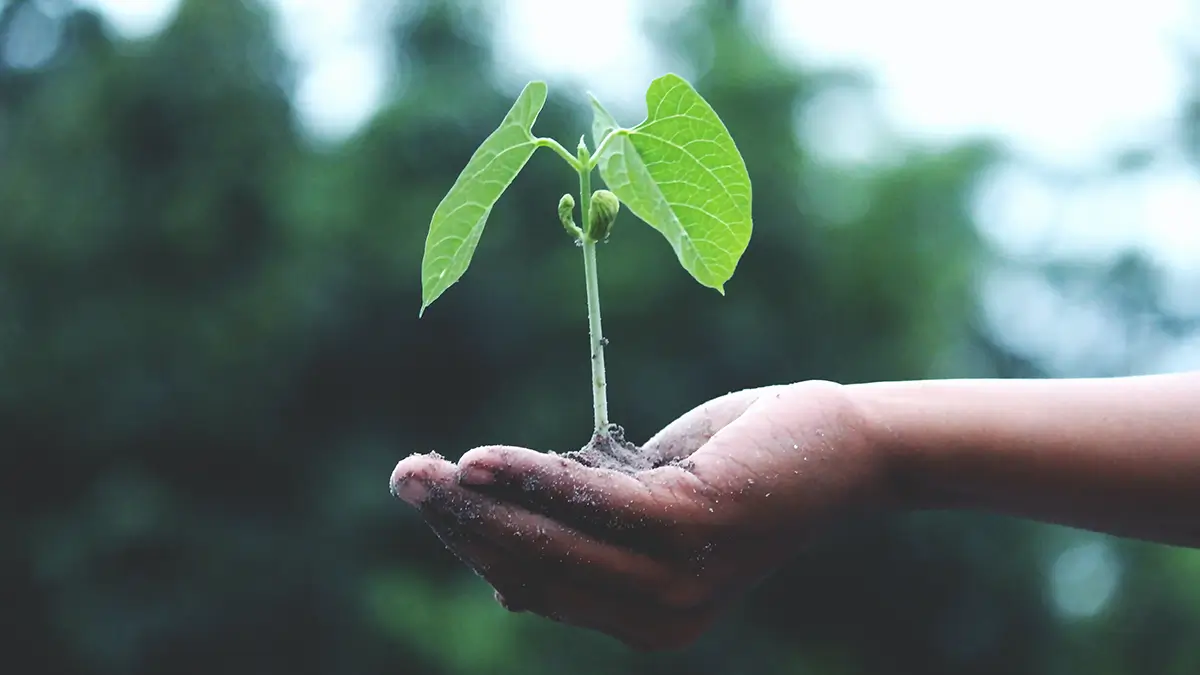 Doorstart na faillissement